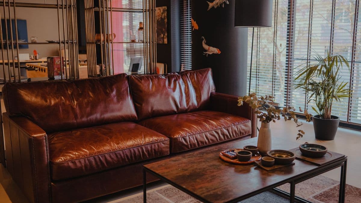 Cách vệ sinh sofa da tại nhà đúng cách, bền đẹp (kèm sofa vải, nỉ)