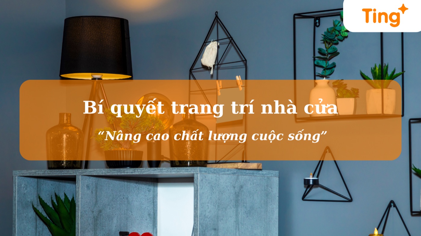 7 loại rêu thủy sinh được ưa chuộng để trang trí bể cá