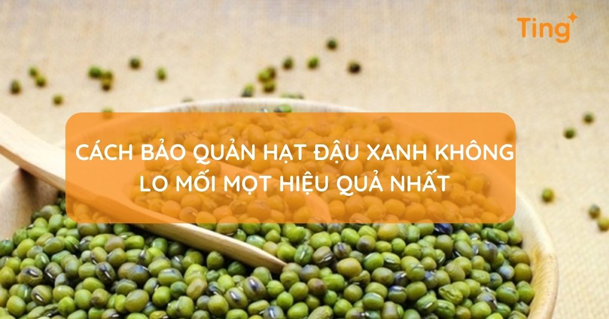 Cách bảo quản hạt đậu xanh lâu dài