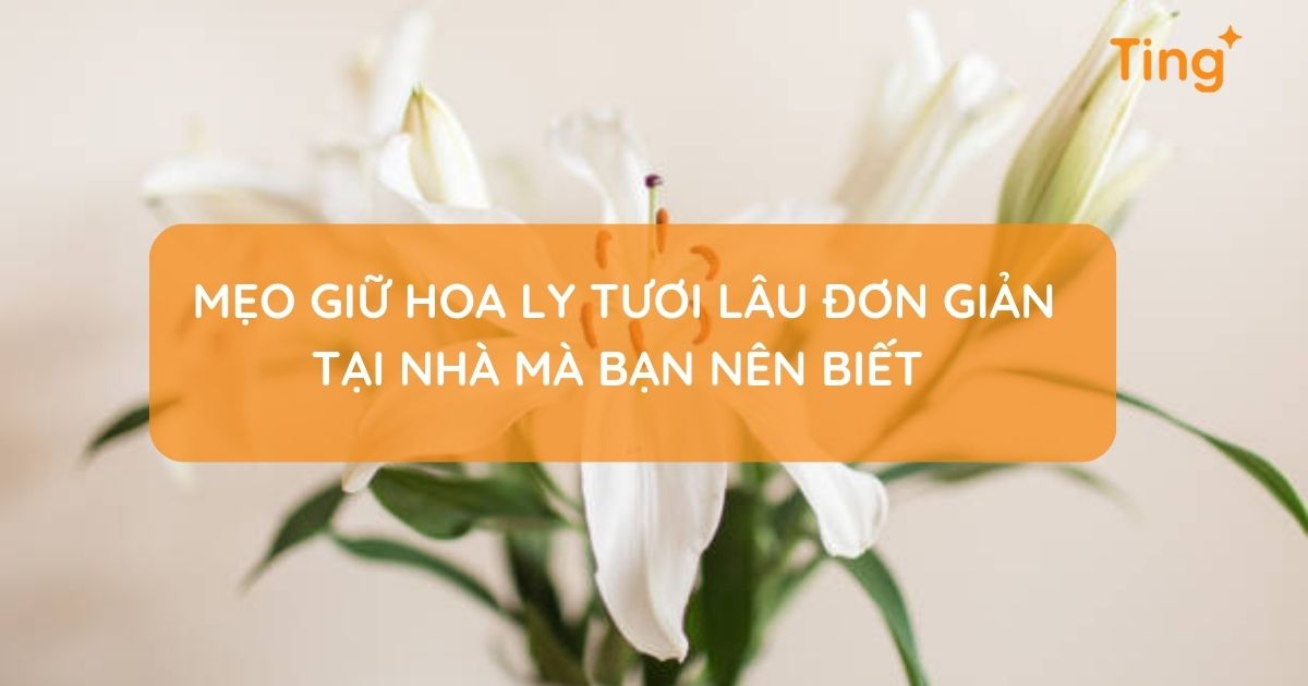 Cách giữ hoa ly tươi lâu tại nhà