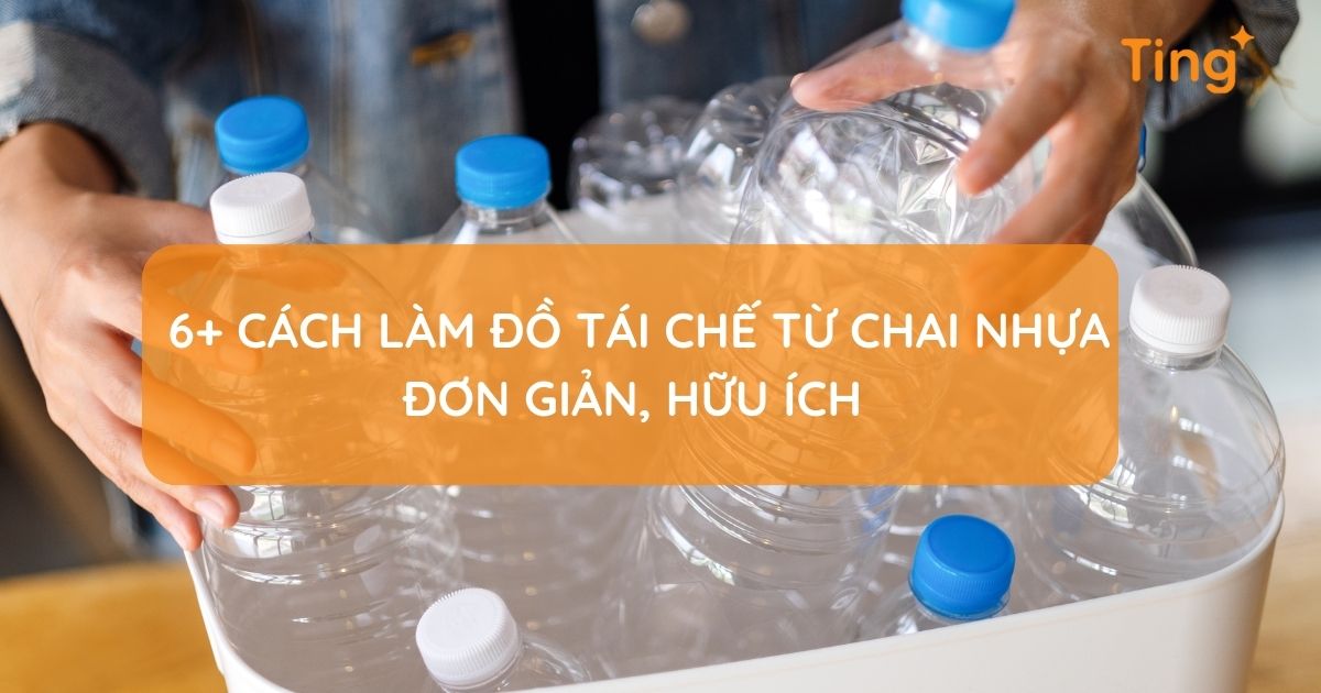 Cách làm đồ tái chế từ chai nhựa đơn giản
