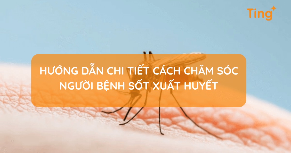 Cách chăm sóc người bệnh sốt xuất huyết tại nhà