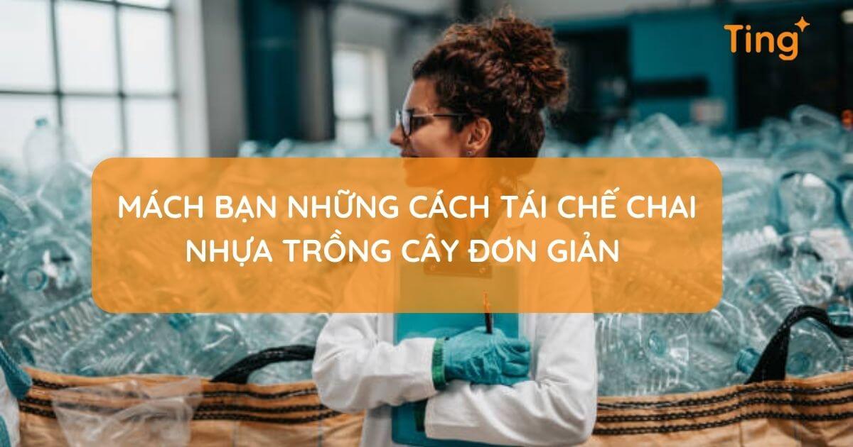 Tái chế chai nhựa để trồng cây — đơn giản và thú vị