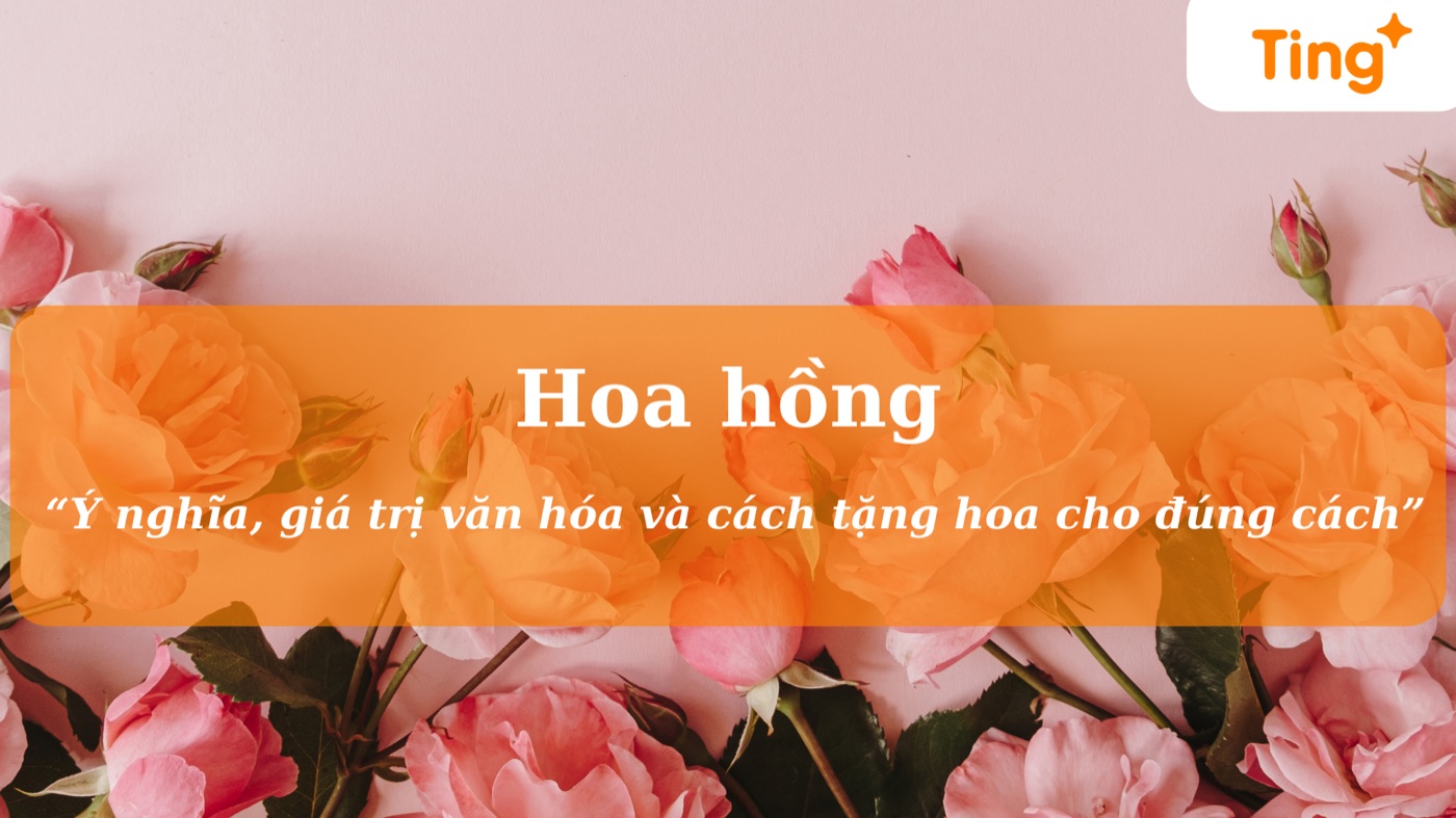 Ý nghĩa và giá trị của hoa hồng