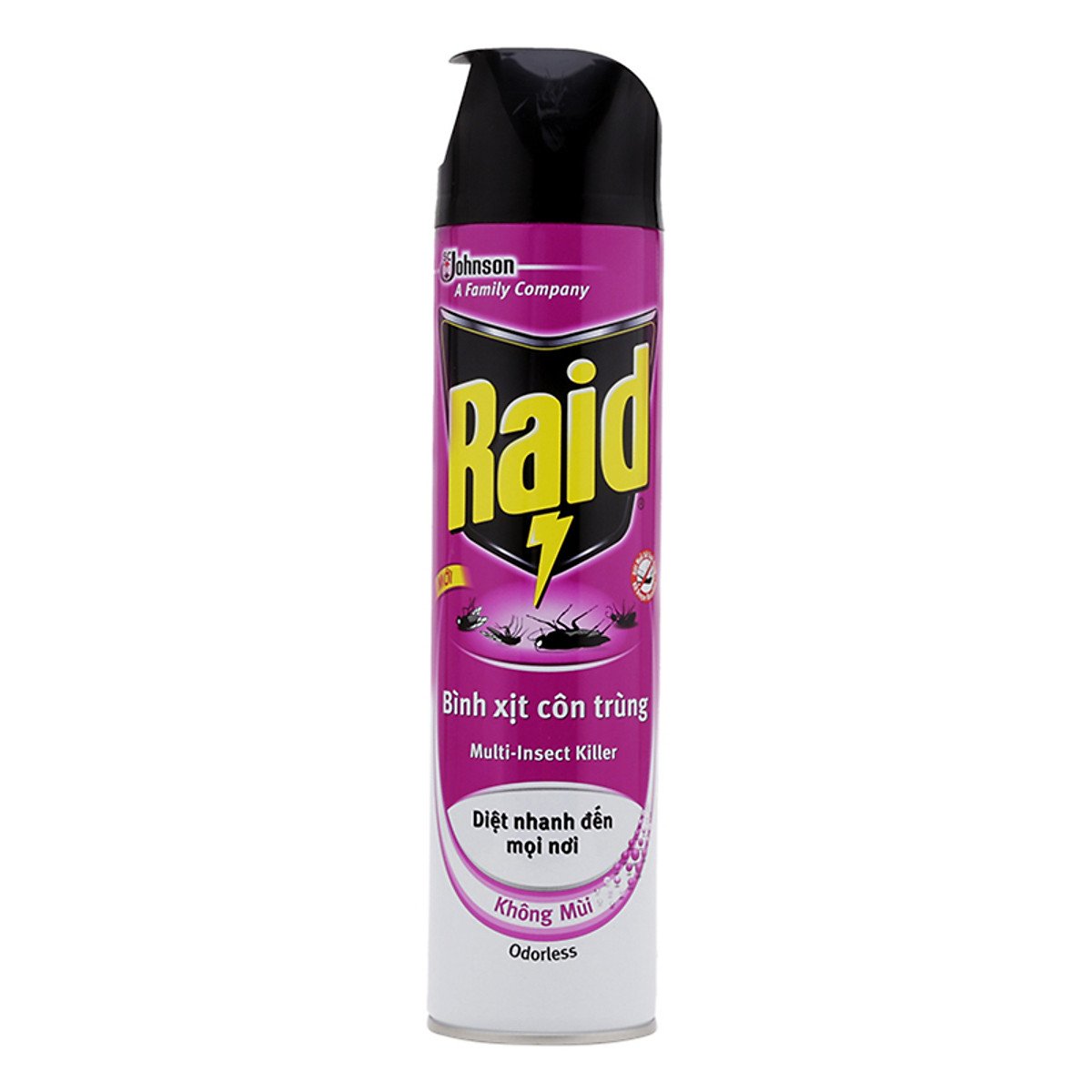 Bình xịt côn trùng Raid