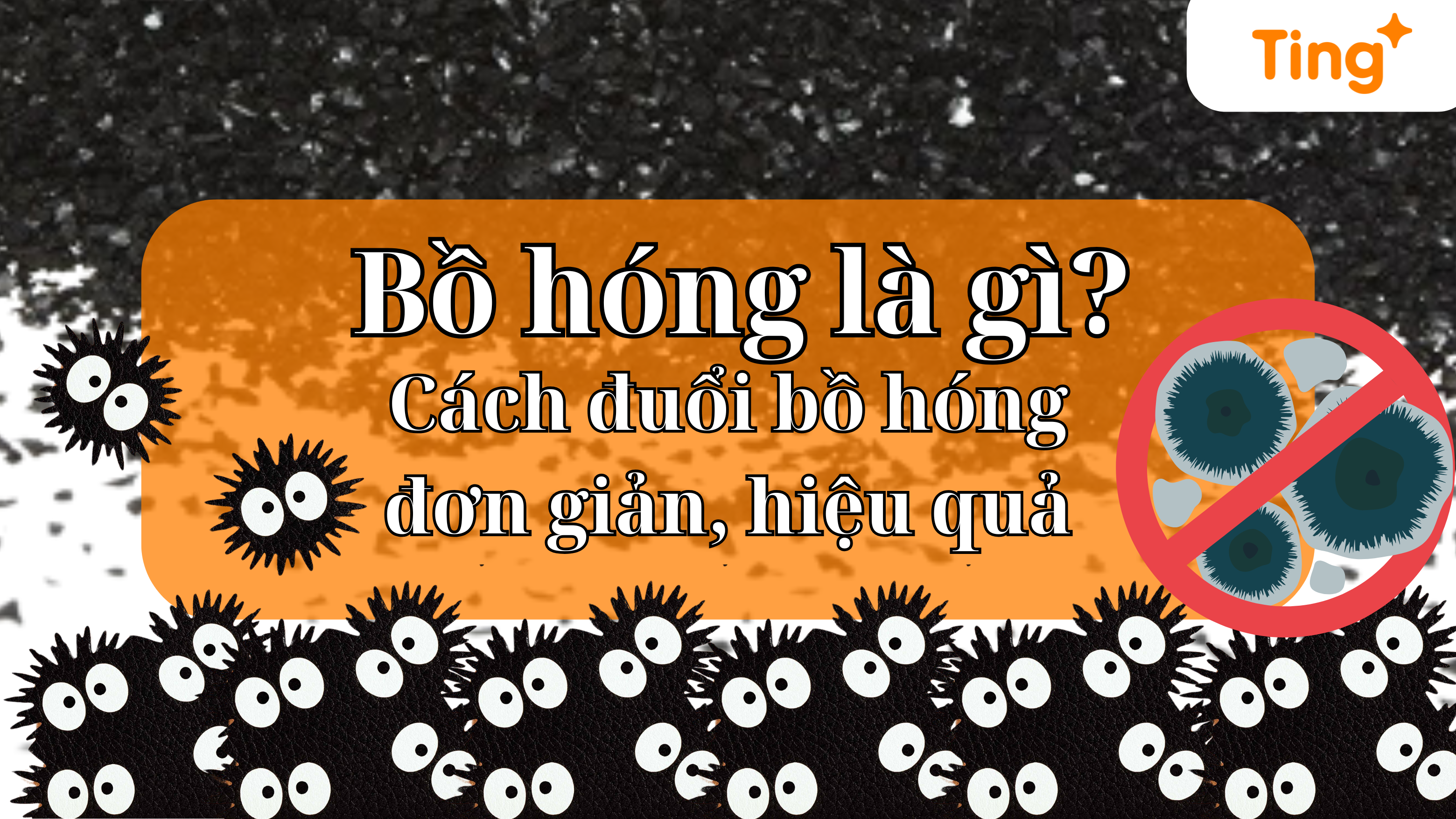 Bồ hóng là gì? 8 Cách đuổi bồ hóng đơn giản, hiệu quả