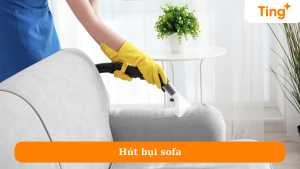 Hút bụi sofa