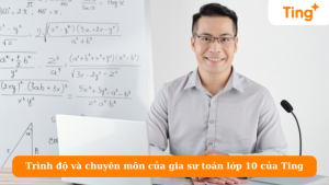 Trình độ và chuyên môn của gia sư toán lớp 10 của Ting