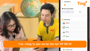 Các công ty gia sư uy tín tại TP HCM