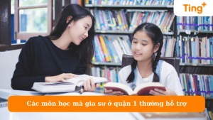 Các môn học mà gia sư ở quận 1 thường hỗ trợ