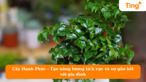 Cây Hạnh Phúc - Tạo năng lượng tích cực và sự gắn kết với gia đình