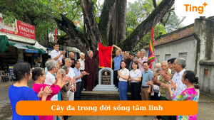 Cây đa trong đời sống tâm linh