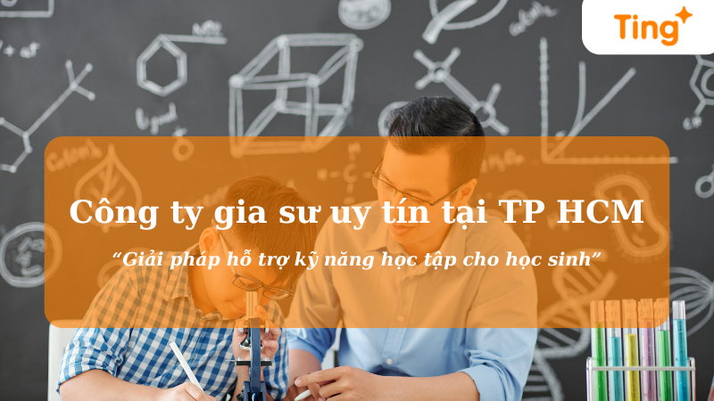 Công ty gia sư uy tín tại tp hcm - Giải pháp hỗ trợ kỹ năng học tập cho học sinh