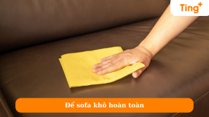 Để sofa khô hoàn toàn