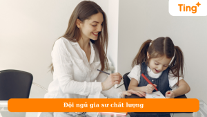 Đội ngũ gia sư chất lượng