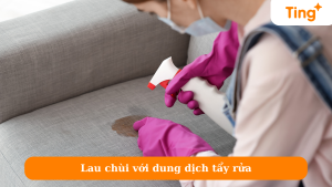 Lau chùi với dung dịch tẩy rửa