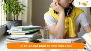 Lý do phòng luôn có mùi khó chịu