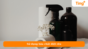 Sử dụng hóa chất diệt rêu