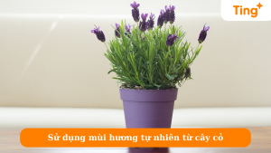 Sử dụng mùi hương tự nhiên từ cây cỏ