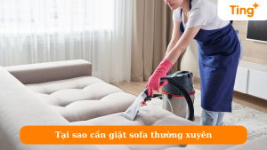 Tại sao cần giặt sofa thường xuyên