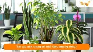 Tại sao nên trang trí nhà theo phong thủy