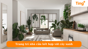 Trang trí nhà cửa kết hợp với cây xanh