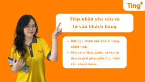 Tư vấn khách hàng