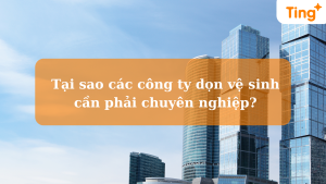 công ty dọn dẹp vệ sinh chuyên nghiệp