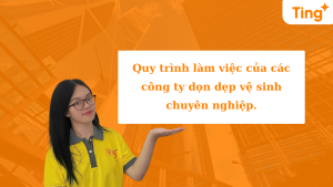 quy trình làm việc